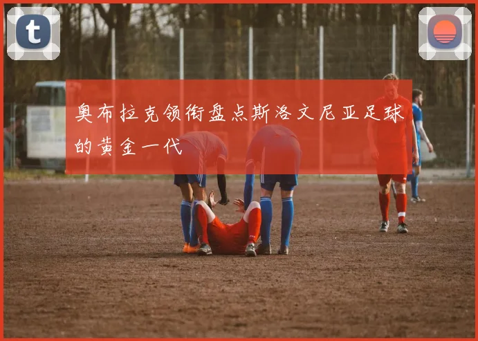 奥布拉克领衔盘点斯洛文尼亚足球的黄金一代