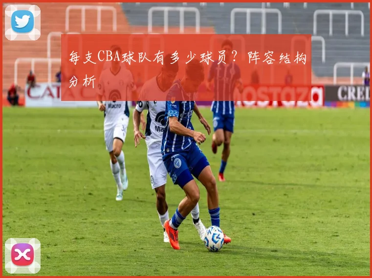 每支CBA球队有多少球员？阵容结构分析